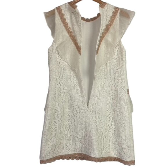 Amur Topeka Lace and Silk Dress - Picture 8 of 14